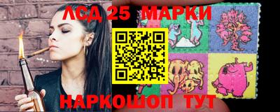 мяу мяу мука Будённовск